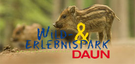 Wildpark Daun logo